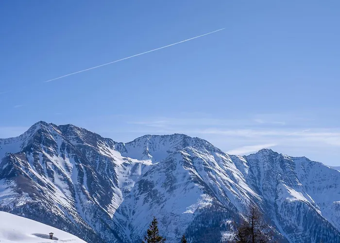 Florence Penthouse Διαμέρισμα Riederalp