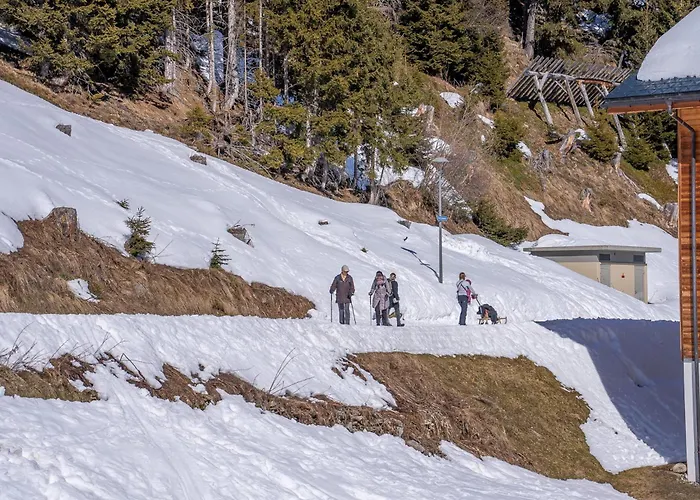 Florence Penthouse * 利德阿尔卑斯